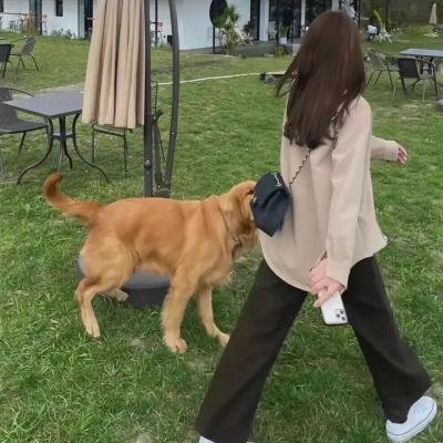 爱情面前谁怕谁
